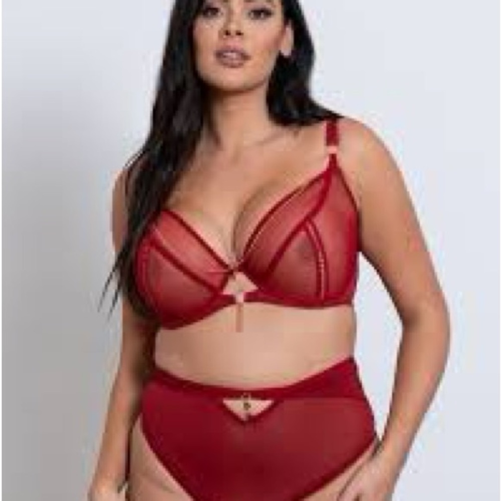 Elegant Red Lingerie Set